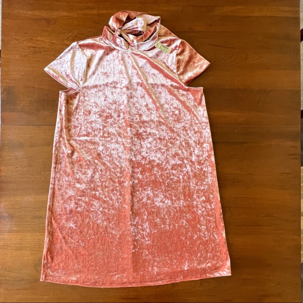 Dusty Rose Crushed Velvet Madewell Dress
